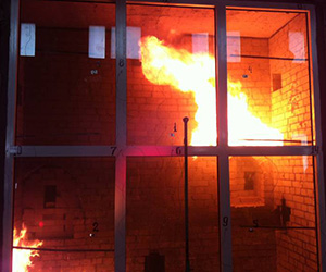 Противопожарные окна Лосино-Петровский